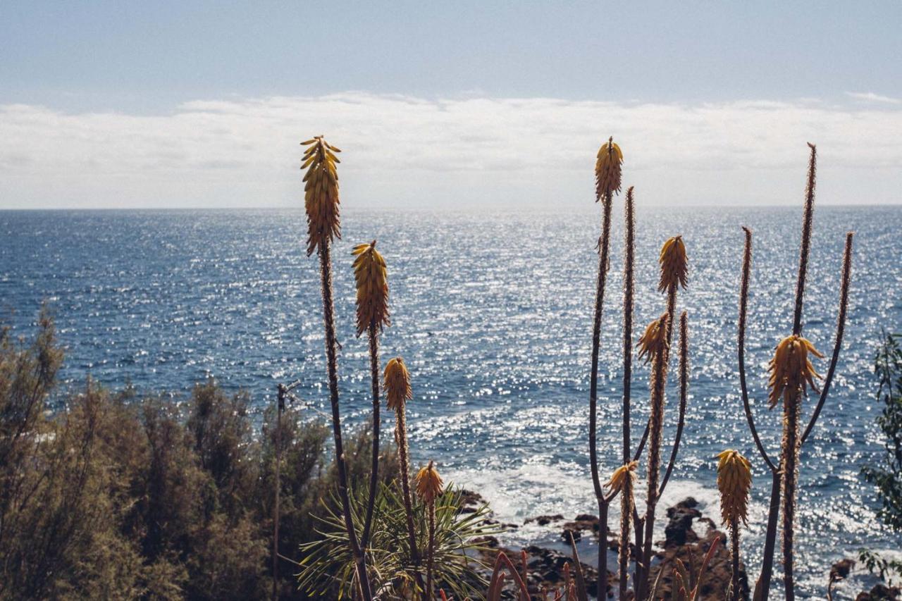 Canary Casita Next To The Atlantic Ocean Radazul Buitenkant foto