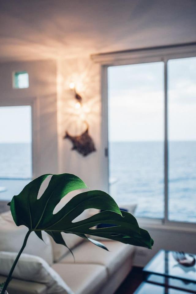 Canary Casita Next To The Atlantic Ocean Radazul Kamer foto